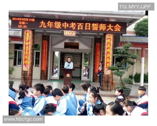 在排球场上绽放光彩：陈静的奋斗与梦想之旅